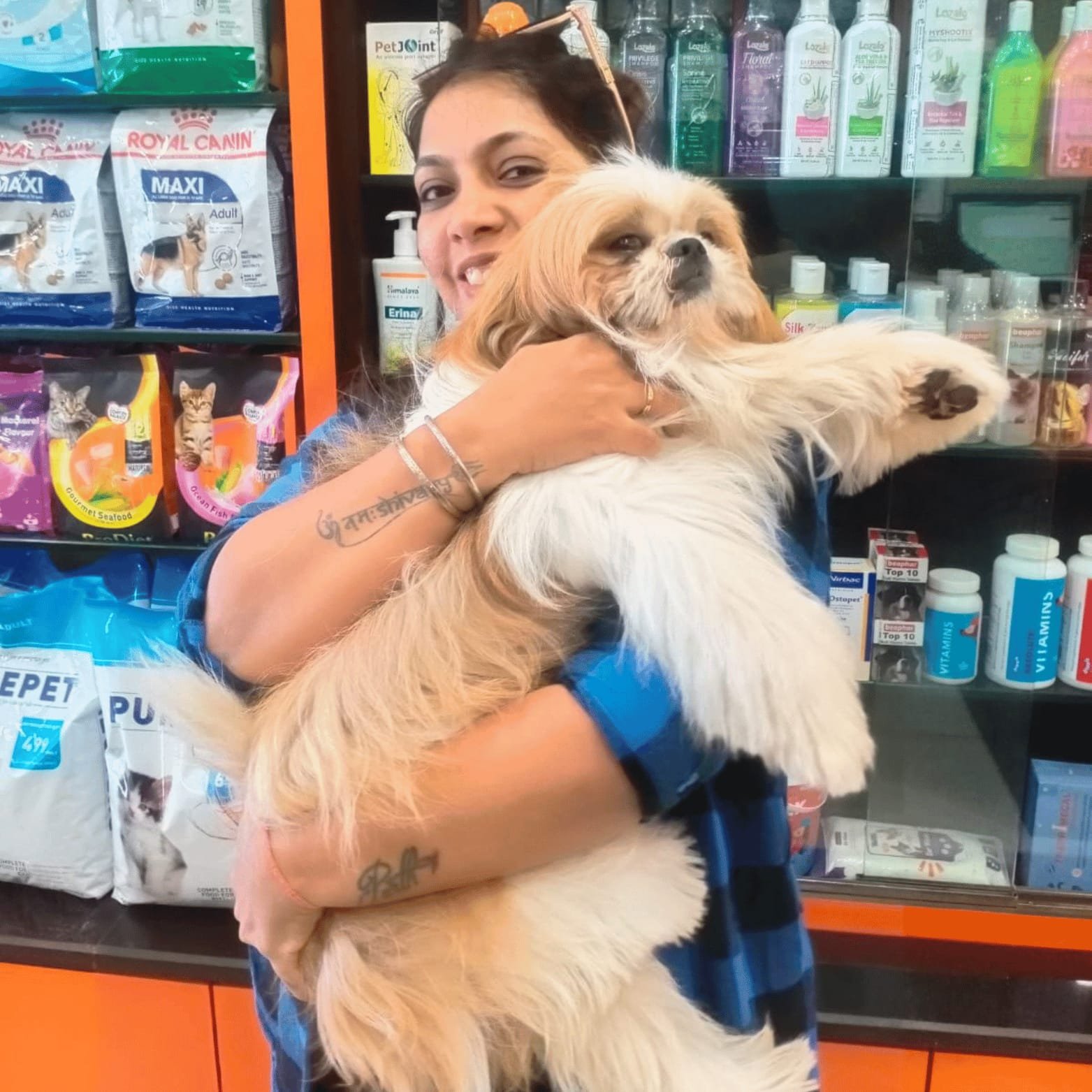 A Holistic Approach to Healing: Animal Aura Healing and Meditation